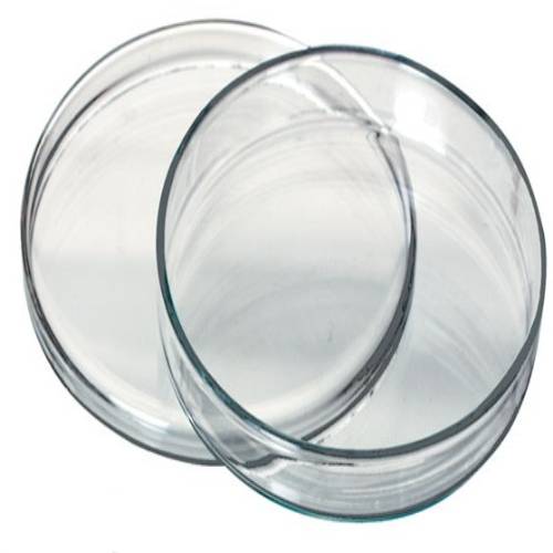 Glass Petri Dishes 90mm Anumbra